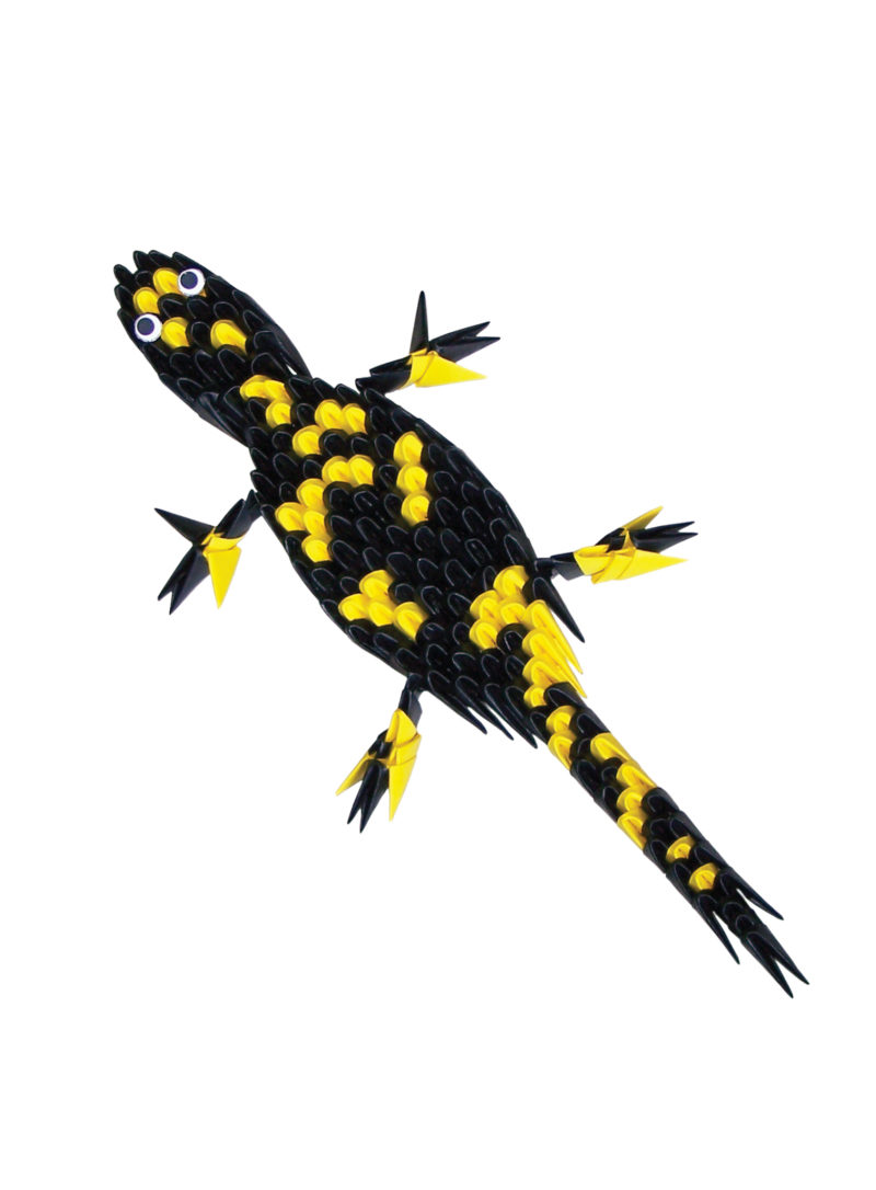 AN 090 Salamander